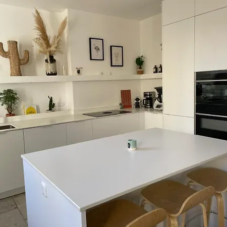 Vaste Et Bel En Plein Centre-ville De Appartement *